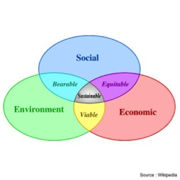 sustainable development